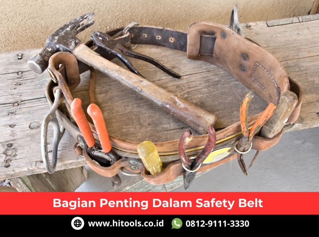 Bagian Penting Dalam Safety Belt